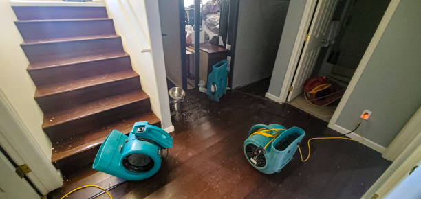 Best Water damage mitigation services  in Lake Hiawatha, NJ