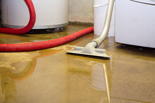 Best Basement water damage restoration  in Lake Hiawatha, NJ