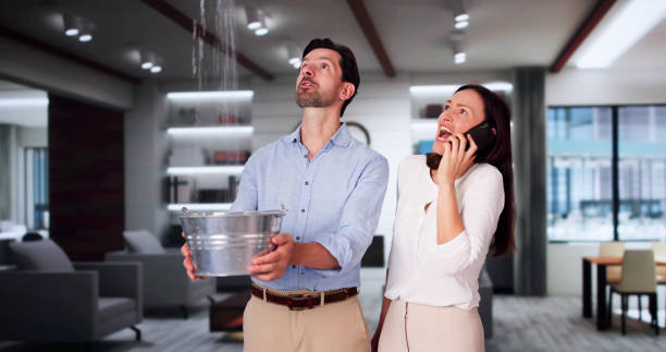 Best Local water damage restoration  in Lake Hiawatha, NJ