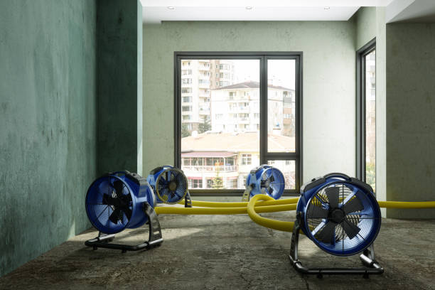 Best 24/7 water damage repair  in Lake Hiawatha, NJ