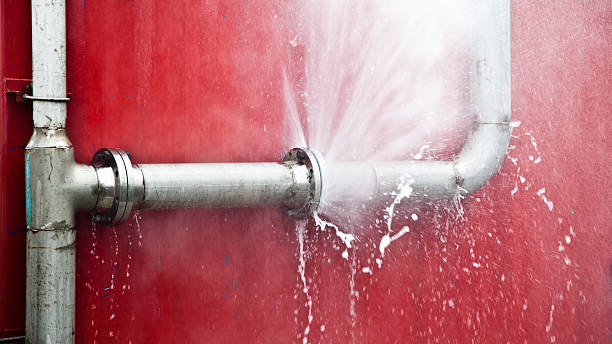 Best Flooded house restoration  in Lake Hiawatha, NJ