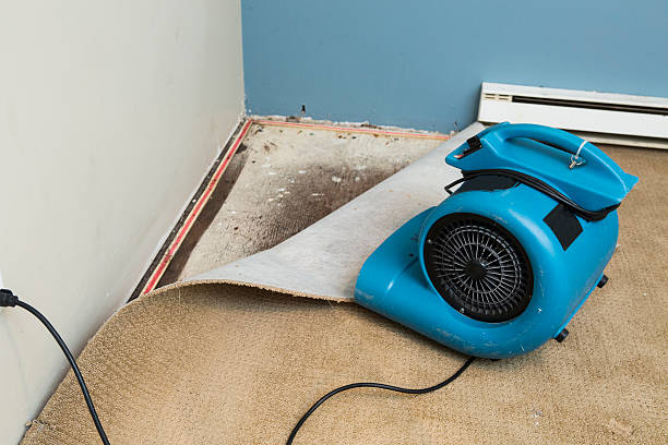 Best Water damage repair service  in Lake Hiawatha, NJ